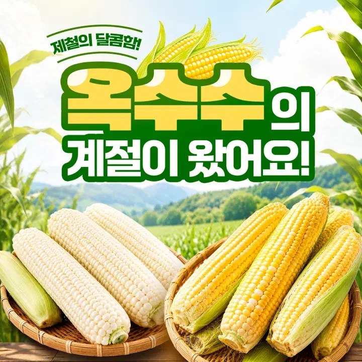 템플리 디자인 캔버스로 만든 디자인 템플릿 5