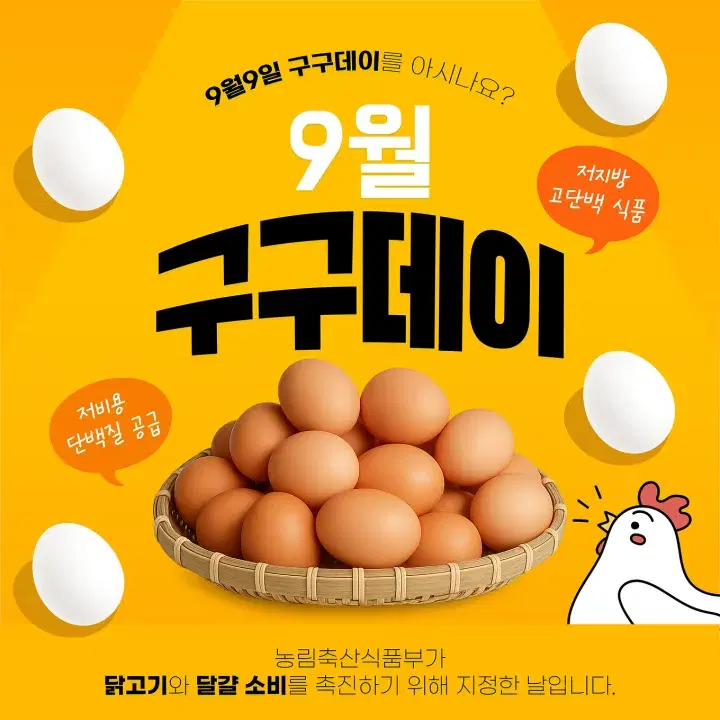 템플리 디자인 캔버스로 만든 디자인 템플릿 9