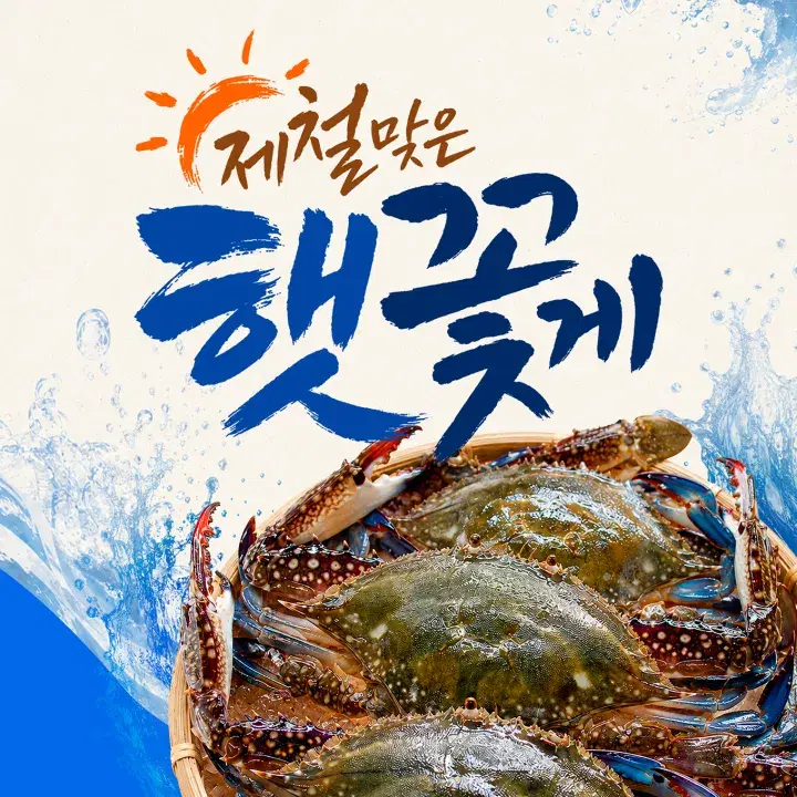 템플리 디자인 캔버스로 만든 디자인 템플릿 20