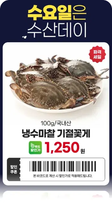 템플리로 만든 모바일 전단 디자인 11