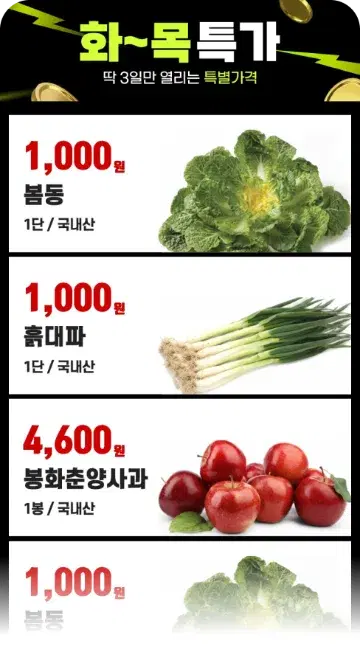 템플리로 만든 모바일 전단 디자인 13